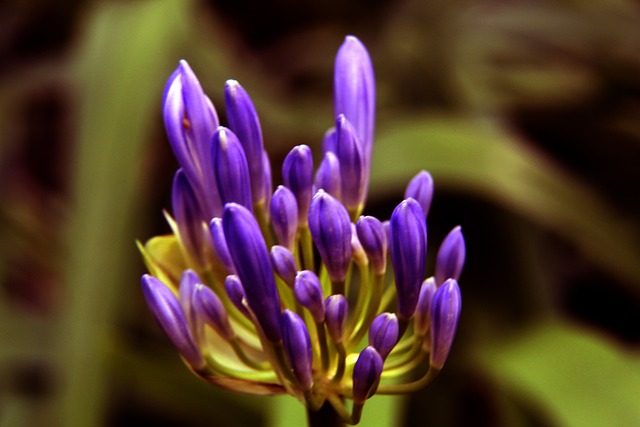 了重要助力 了重要助力