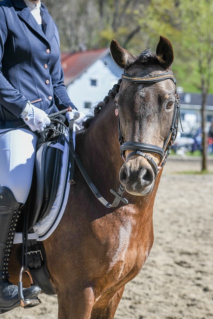 嫌假摔的争 嫌假摔的争