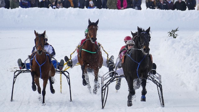 熟的球队重 熟的球队重