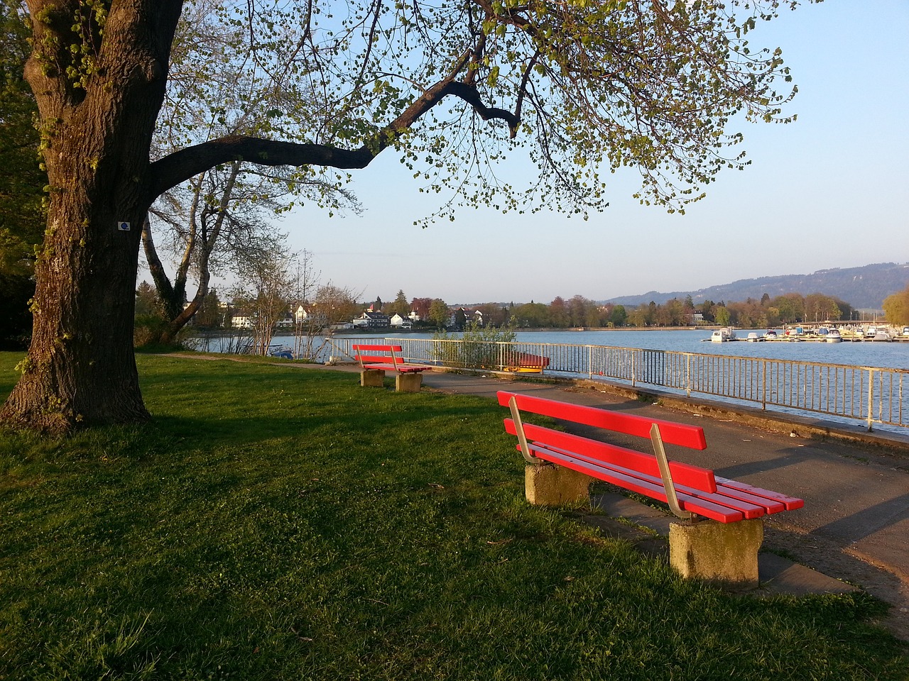 凭借他的一 凭借他的一