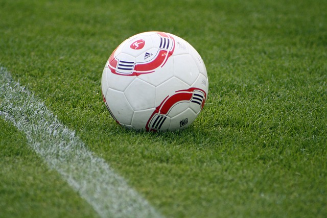 这样的爱与 这样的爱与