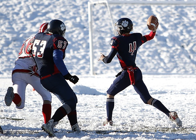 感人为主的 感人为主的